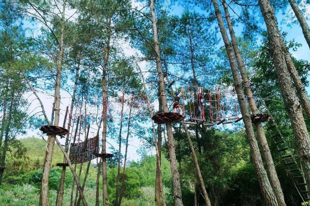 丛林穿越运动团建活动