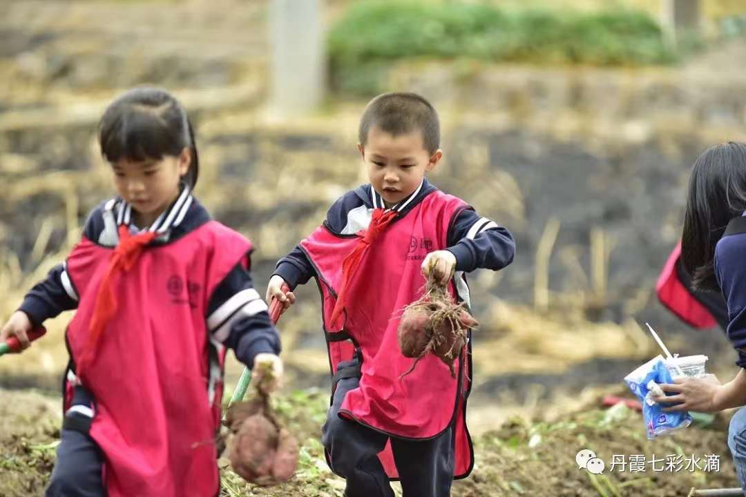 微信图片_20221121105056.jpg