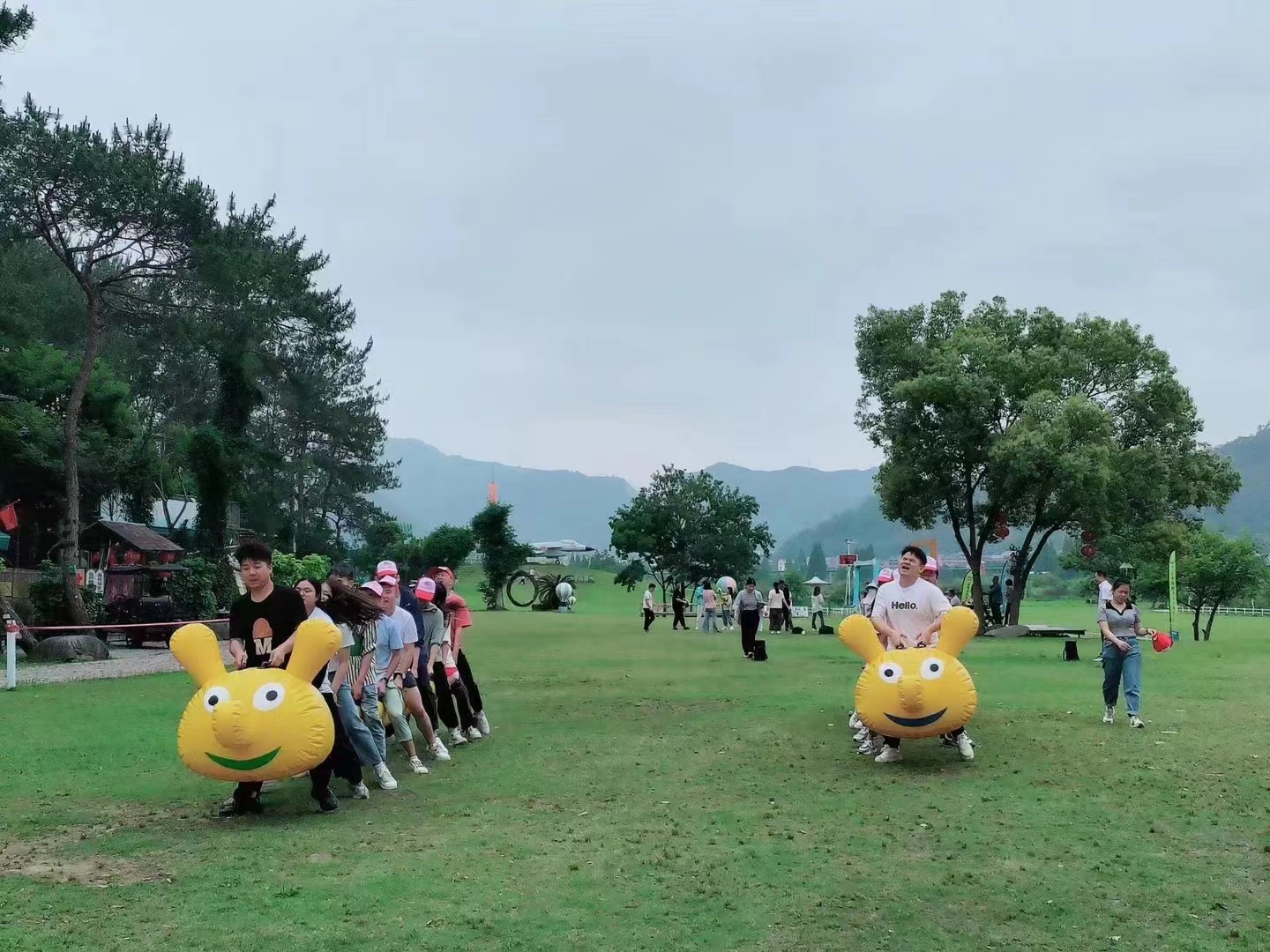 微信图片_20230522090229.jpg
